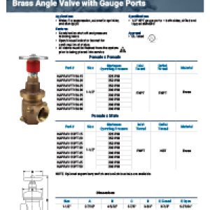 Factory Set Pressure Reducing Brass Angle Valve with Gauge Ports